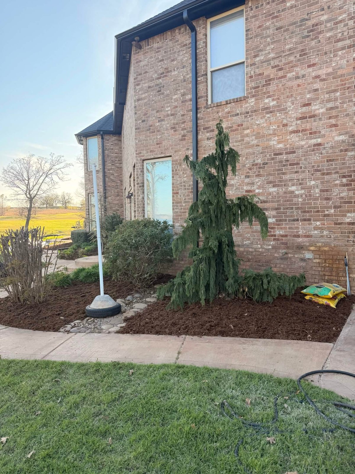 Brick house exterior with landscaped front entrance, green plants, mulch, and concrete walkway on a sunny day