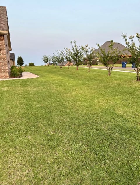 Wide green lawn in a residential neighborhood with brick house on left, trees, and grassy area under clear blue sky